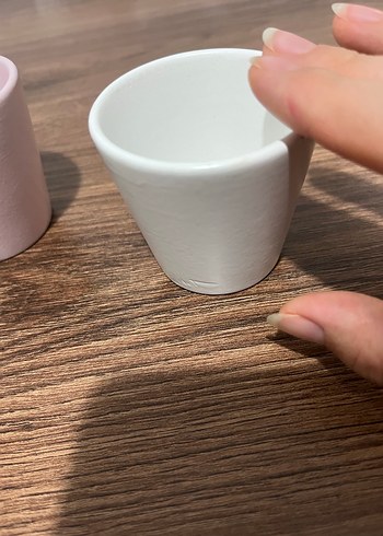 Pastel Renkli Beyaz Mini Saksı Seti - Görsel 4