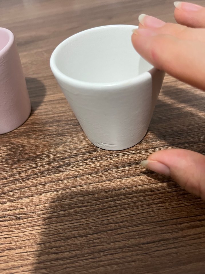 Pastel Renkli Beyaz Mini Saksı Seti - Görsel 4