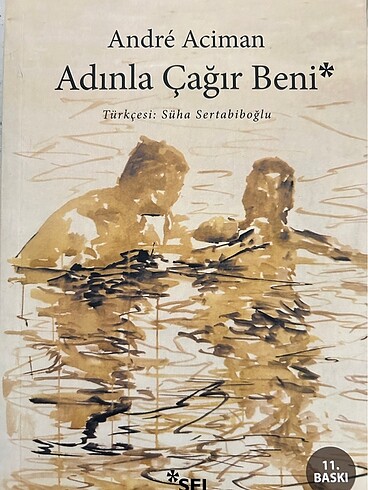 Call Me By Your Name ve devam kitabi