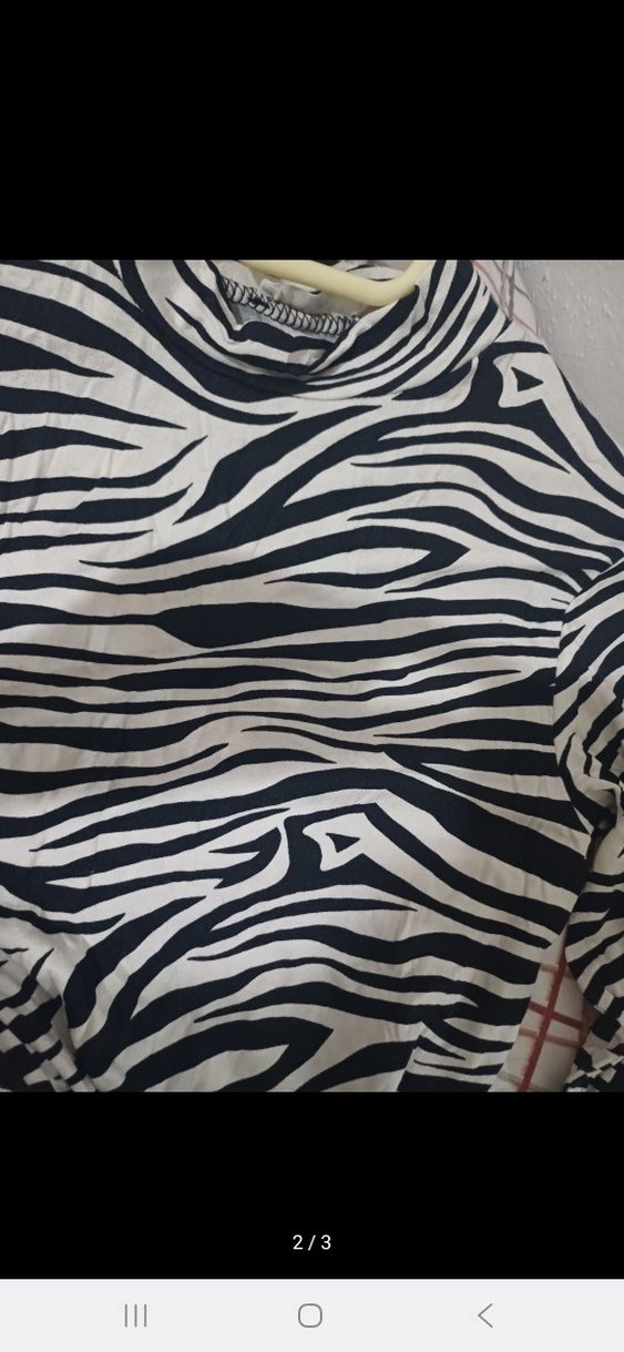 Zebra Desenli Uzun Kollu Boğazlı Kadın Bluz - Görsel 2