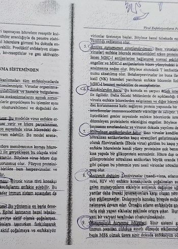 Genel Viroloji - Prof. Dr. Kadir Yeşilbağ - Görsel 5