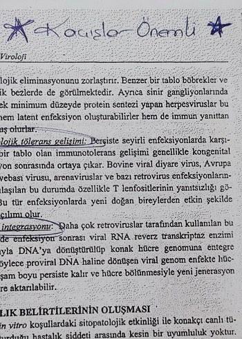 Genel Viroloji - Prof. Dr. Kadir Yeşilbağ - Görsel 6