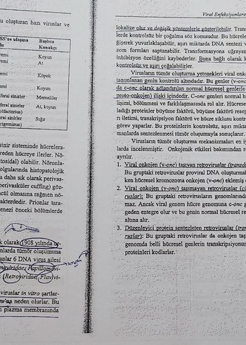 Genel Viroloji - Prof. Dr. Kadir Yeşilbağ - Görsel 8