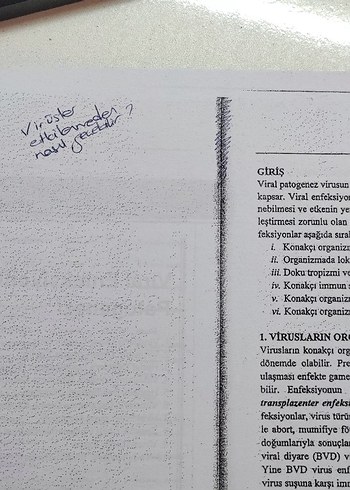 Genel Viroloji - Prof. Dr. Kadir Yeşilbağ - Görsel 3