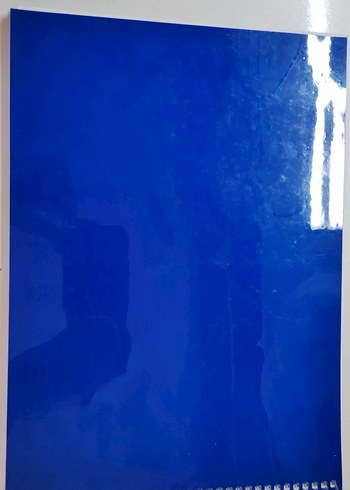 Genel Viroloji - Prof. Dr. Kadir Yeşilbağ - Görsel 2