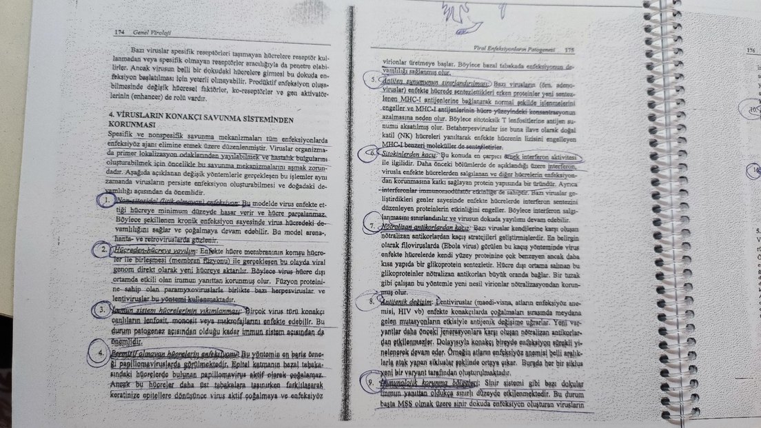 Genel Viroloji - Prof. Dr. Kadir Yeşilbağ - Görsel 5