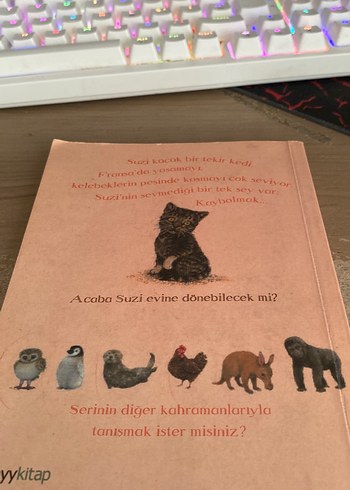 Evine Dönmek İsteyen Kedi Kitabı - Görsel 2