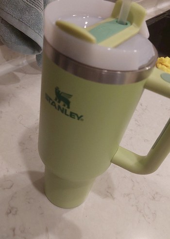 Stanley Pastel Yeşil Termos Kupa - Görsel 8