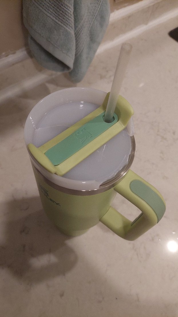 Stanley Pastel Yeşil Termos Kupa - Görsel 5