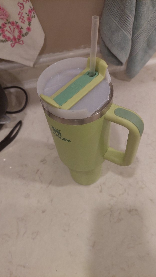 Stanley Pastel Yeşil Termos Kupa - Görsel 4