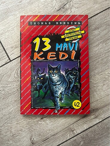 13 mavi kedi çocuk kitabı