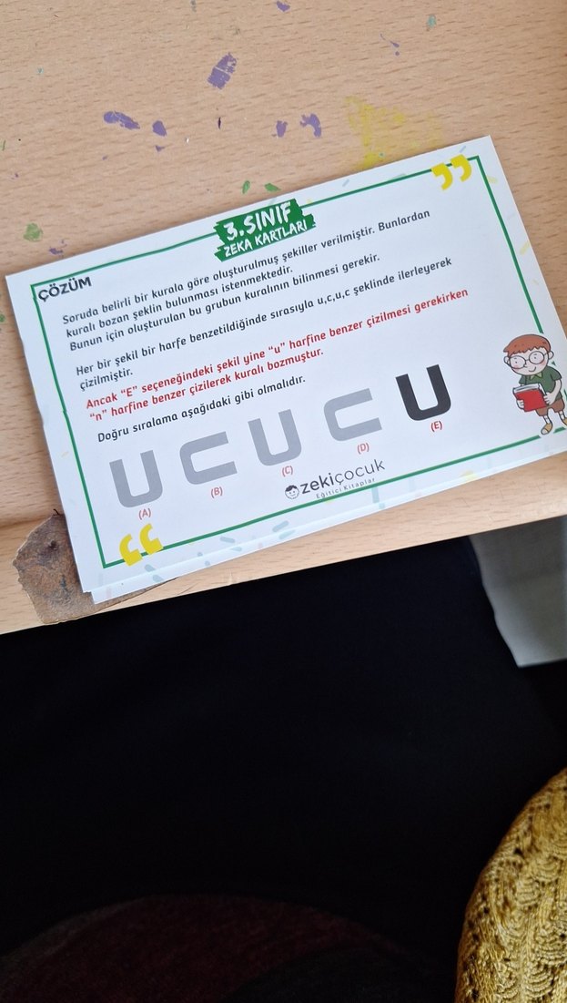 Zeka Oyun Kartları 8-9 Yaş Yaz-Sil - Görsel 3