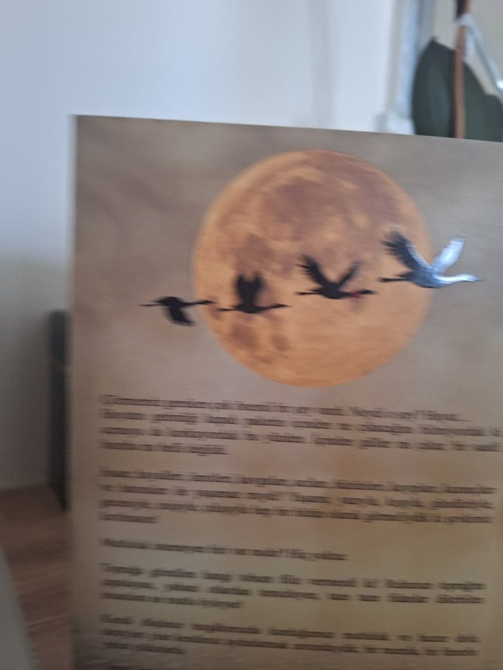 Düşkün Leylekler Evi - Roman - Görsel 2