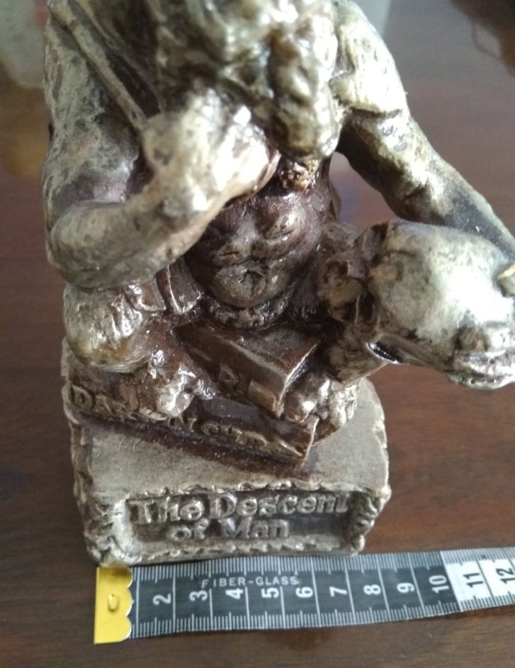 Darwin Temalı Düşünen Maymun Heykeli  Dekoratif Reprodüksiyon - Görsel 4