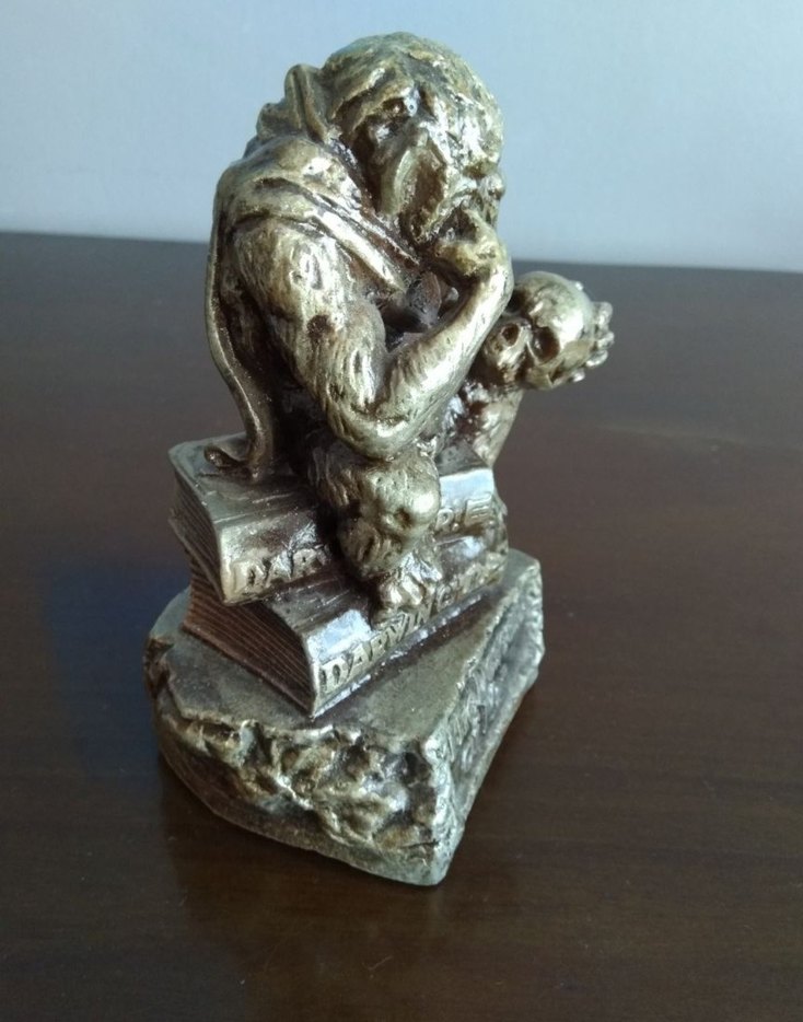 Darwin Temalı Düşünen Maymun Heykeli  Dekoratif Reprodüksiyon - Görsel 2