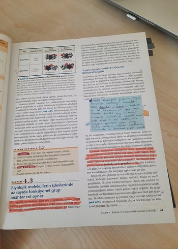 Cambell biyoloji - Görsel 5