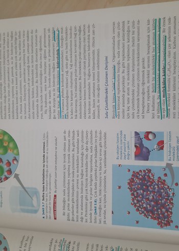 Cambell biyoloji - Görsel 3