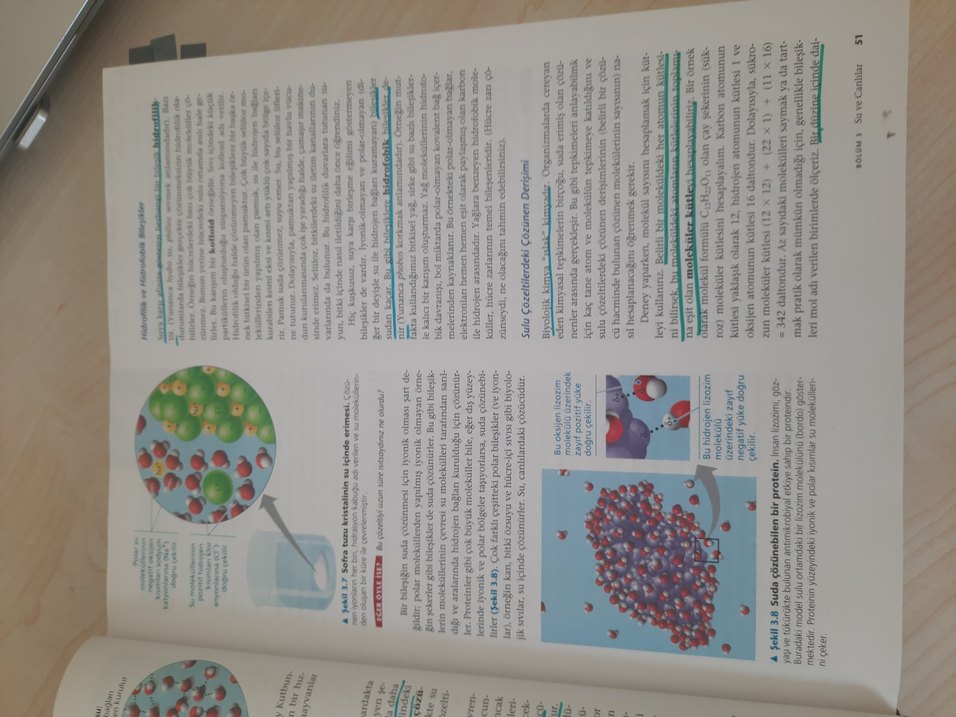 Cambell biyoloji - Görsel 3