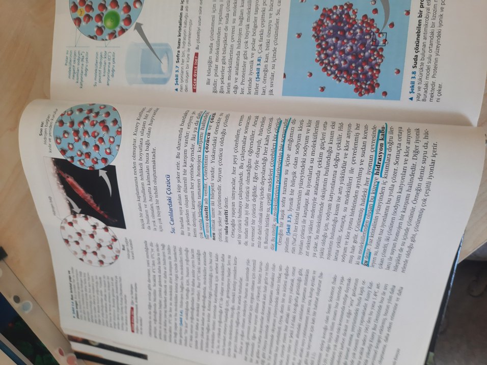 Cambell biyoloji - Görsel 4