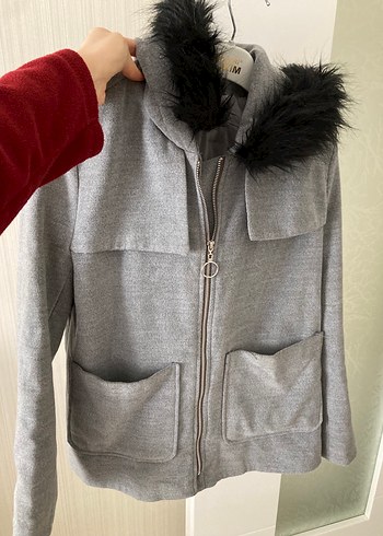 Gri Kaban - Görsel 2