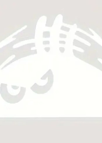 6 para ürün araba seti - Görsel 10