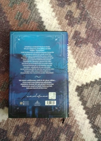 Yaralasar - Maral Atmaca Roman - Görsel 2