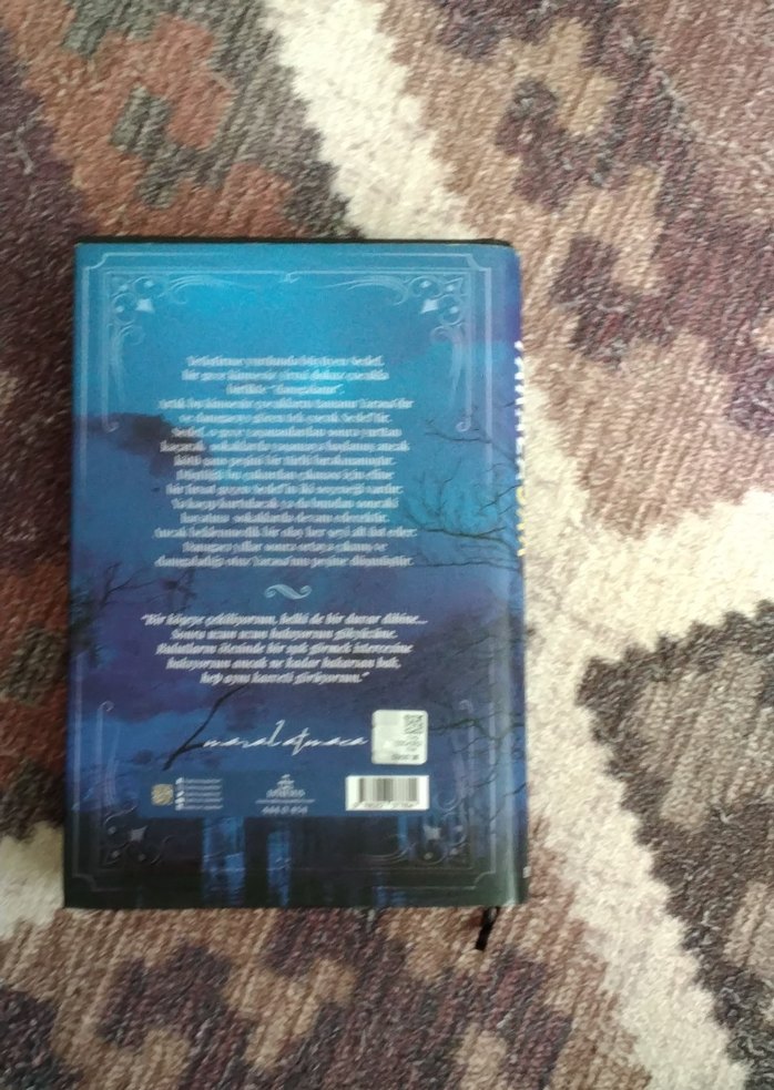 Yaralasar - Maral Atmaca Roman - Görsel 2