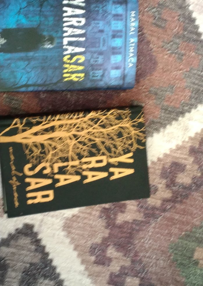 Yaralasar - Maral Atmaca Roman - Görsel 3