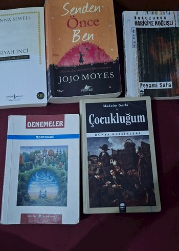  Beden Renk Çeşitli Roman ve Deneme Kitapları Seti