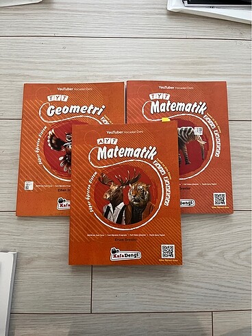 KafaDengi matematik kitapları