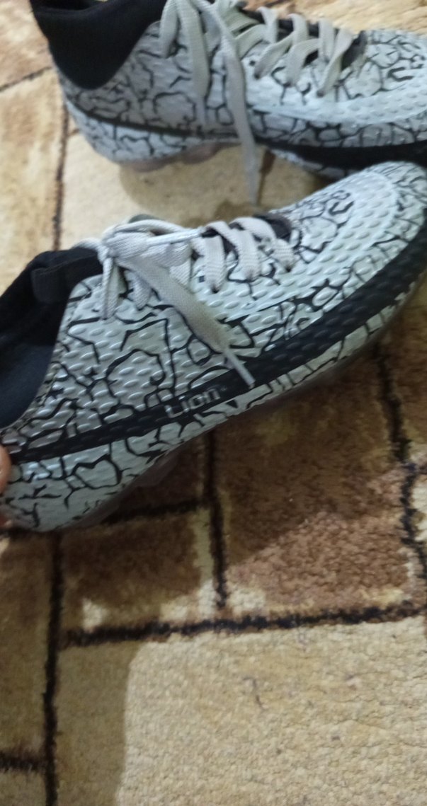 Gri Yılan Desenli Bağcıklı Erkek Spor Ayakkabı - Görsel 3