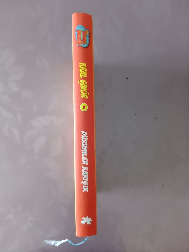 Kral Şakir - Dürümler Karışık Çocuk Kitabı - Görsel 3