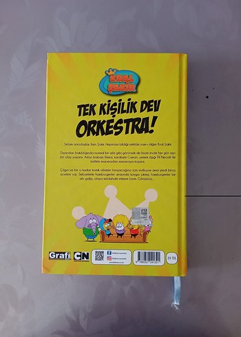 Beden Renk Kral Şakir Tek Kişilik Dev Orkestra Çocuk Kitabı