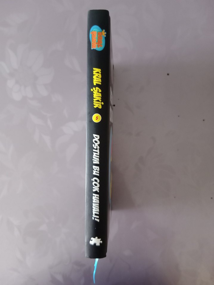 Kral Şakir - Dostum Bu Çok Havalı! Çocuk Kitabı - Görsel 2