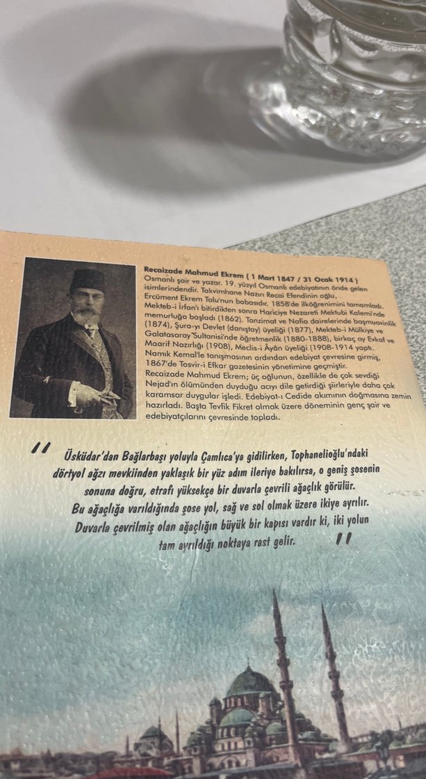 Araba Sevdası - Mahmud Ekrem - Görsel 4