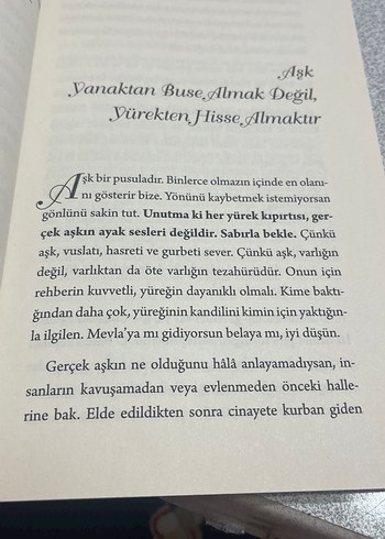 Bana Aşkımızı Anlat - Zekeriya Efiloğlu - Görsel 3