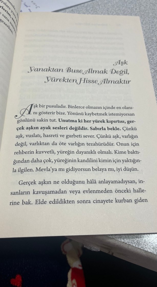 Bana Aşkımızı Anlat - Zekeriya Efiloğlu - Görsel 3