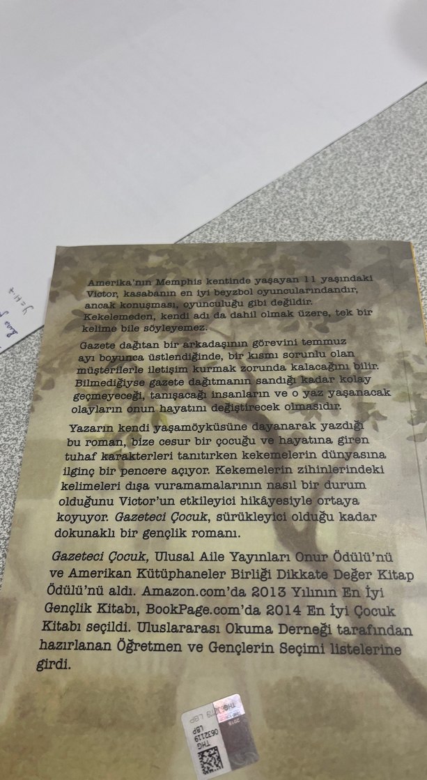 Gazeteci Çocuk - Vince Vawter - Görsel 2