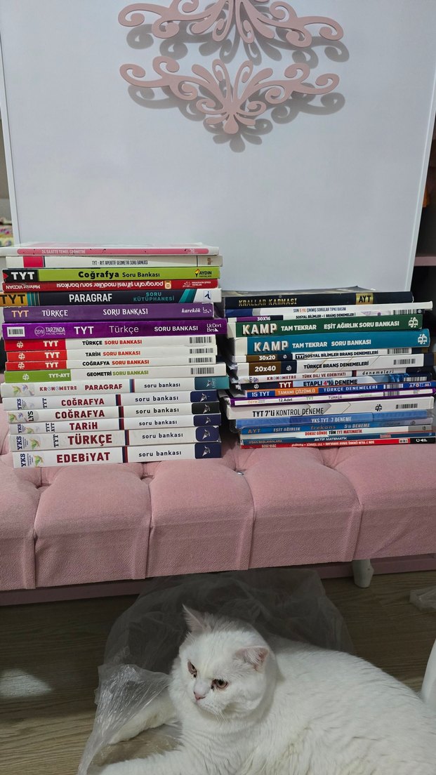 Yks Soru Bankaları ve Deneme Kitapları Seti - Görsel 2