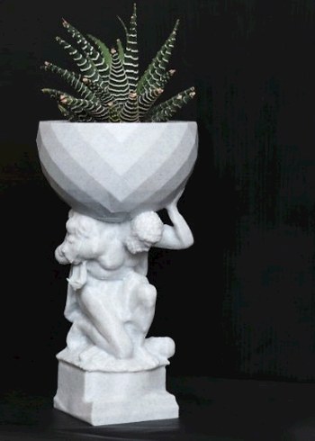 Herkül bitkilerinizi taşıyor - Görsel 6