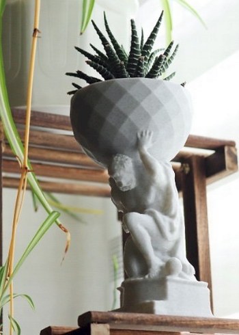 Herkül bitkilerinizi taşıyor - Görsel 2