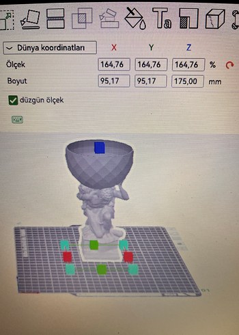 Herkül bitkilerinizi taşıyor - Görsel 8