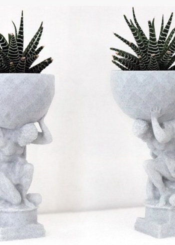 Herkül bitkilerinizi taşıyor - Görsel 3