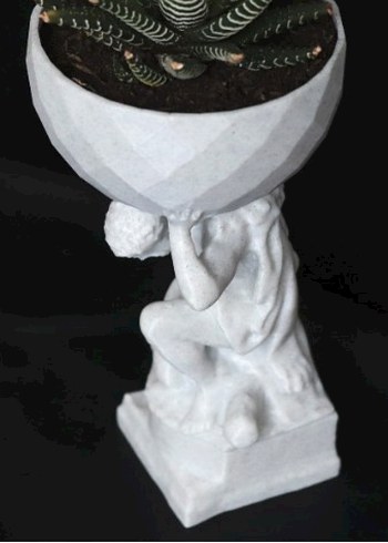 Herkül bitkilerinizi taşıyor - Görsel 5