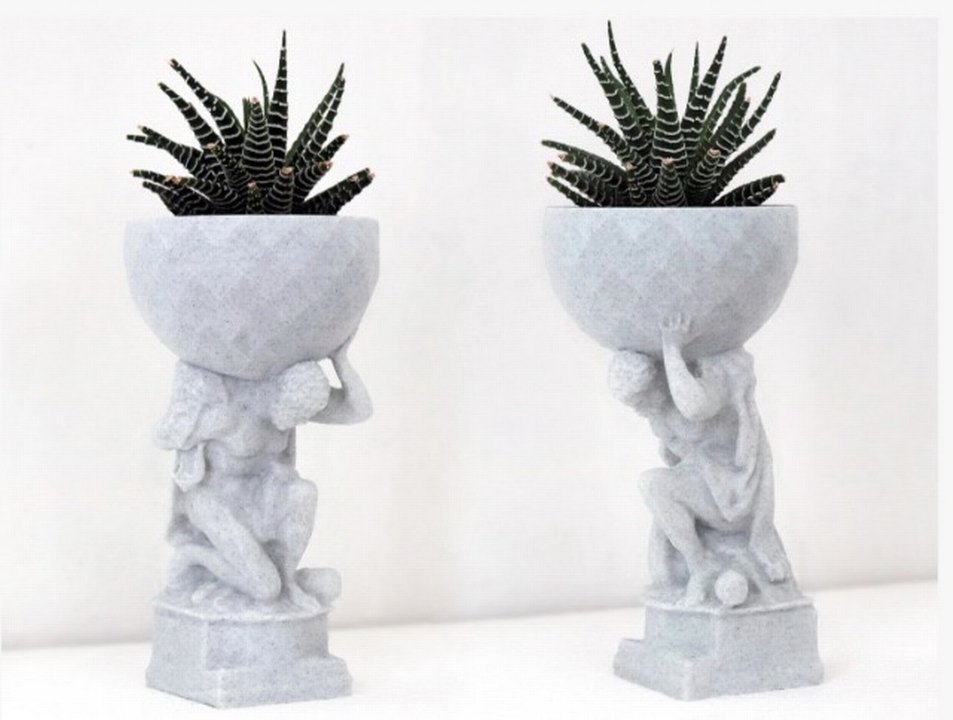 Herkül bitkilerinizi taşıyor - Görsel 3