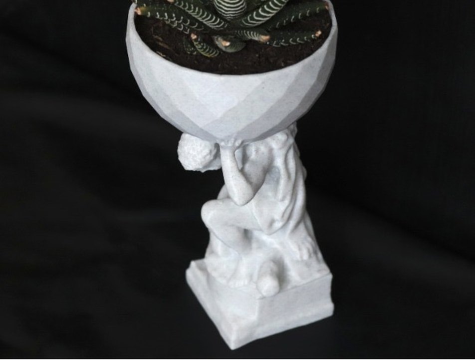 Herkül bitkilerinizi taşıyor - Görsel 5