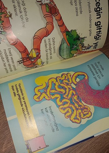 Vücudunuz - İlk Okuma Kitabı - Görsel 3