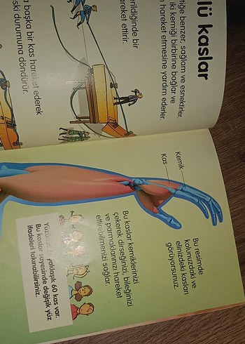 Vücudunuz - İlk Okuma Kitabı - Görsel 2