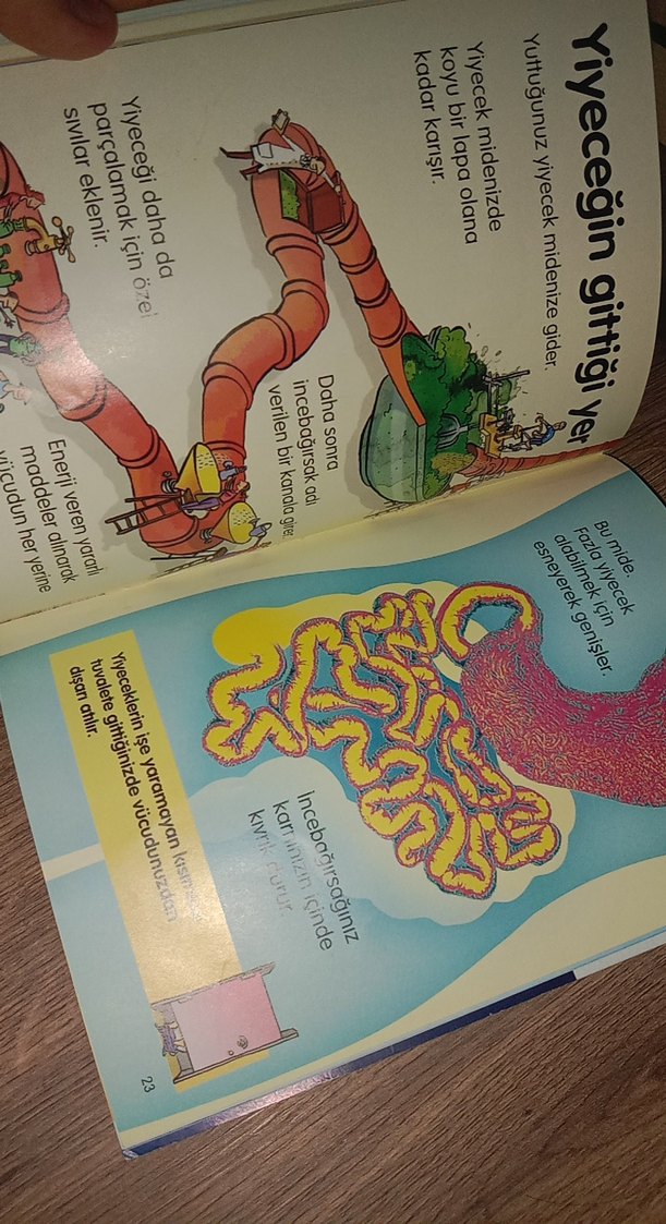 Vücudunuz - İlk Okuma Kitabı - Görsel 3