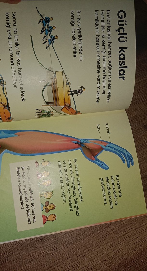 Vücudunuz - İlk Okuma Kitabı - Görsel 2